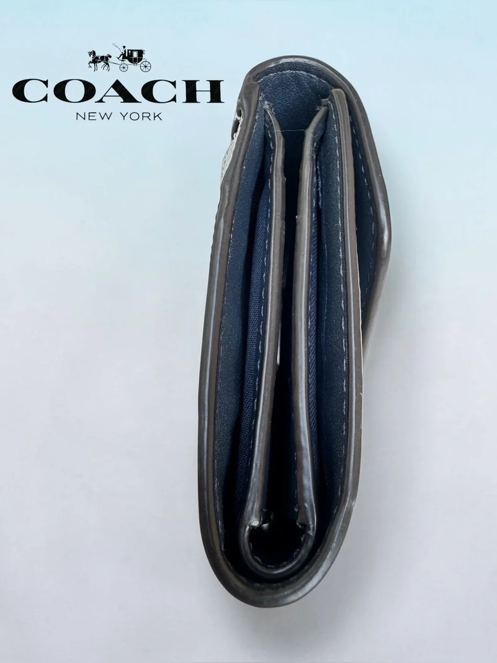 COACH Wyn Small Wallet in Dove Grey and Sky Blue Multi Colorblock.